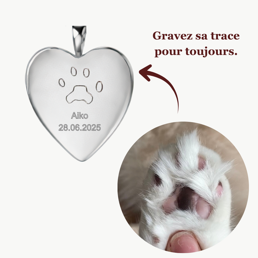 Pendentif Coeur | Patte