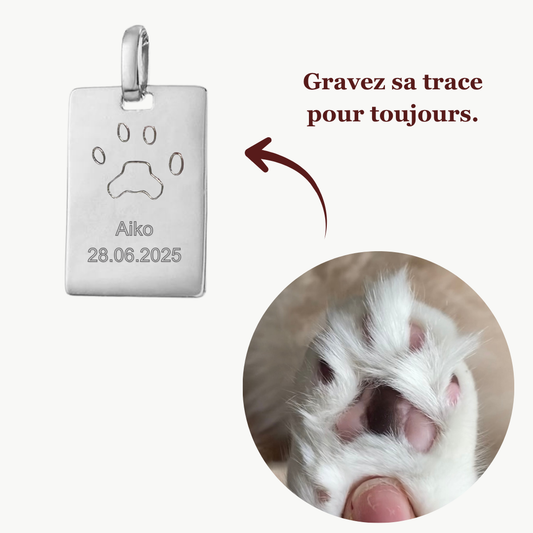 Pendentif Rectangle | Patte